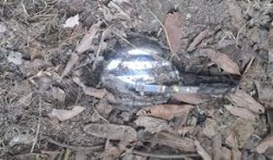 विराटनगरमा शंकास्पद वस्तु फेला,